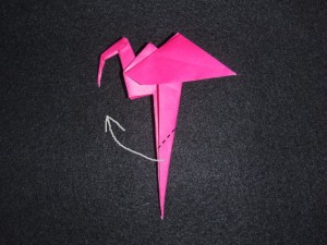 flamingo_18