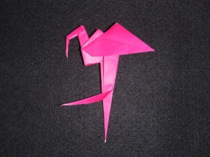 flamingo_19