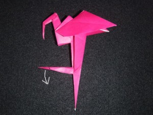 flamingo_20
