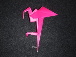 flamingo_21